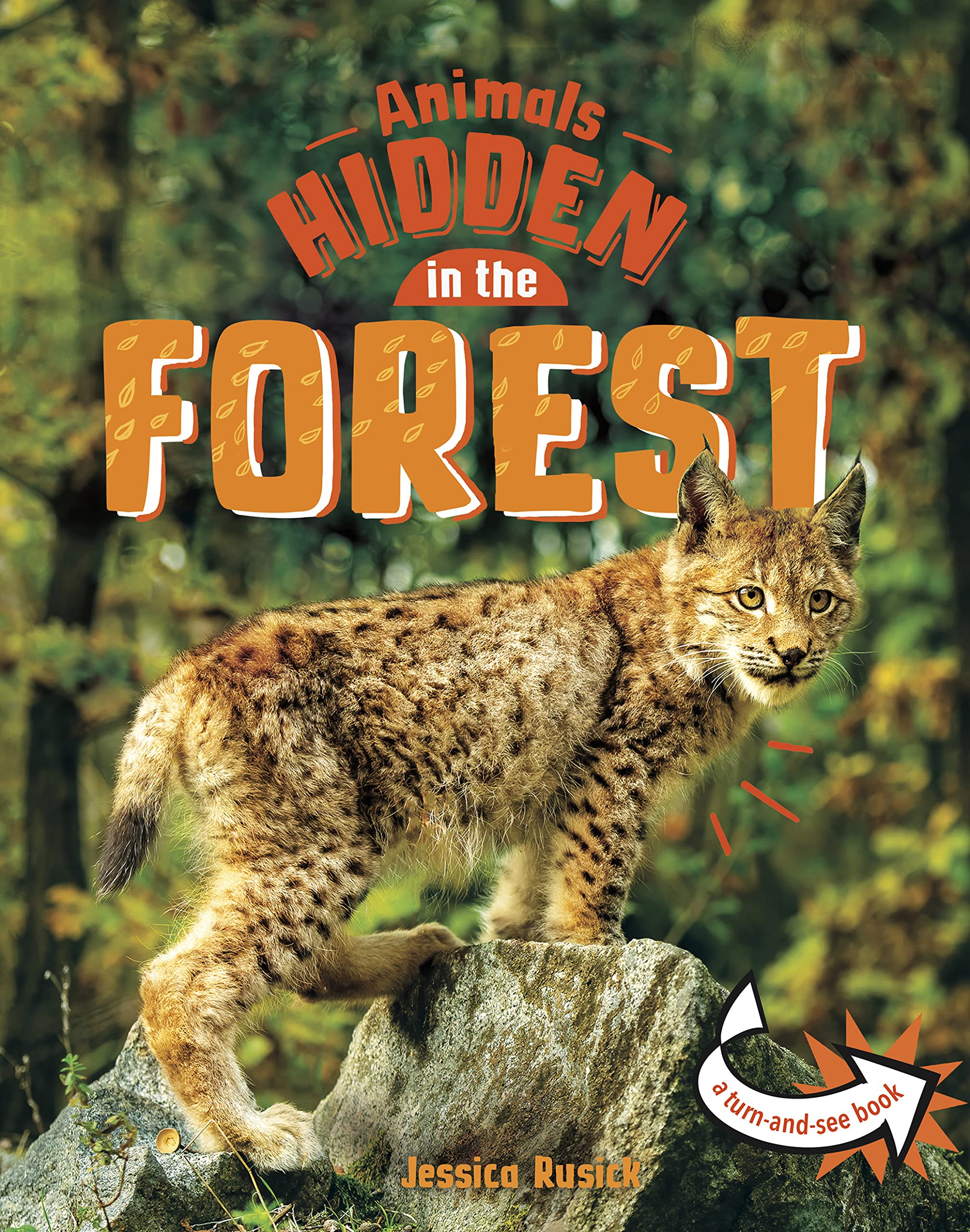 Animals Hidden in the Forest (Animals Undercover)