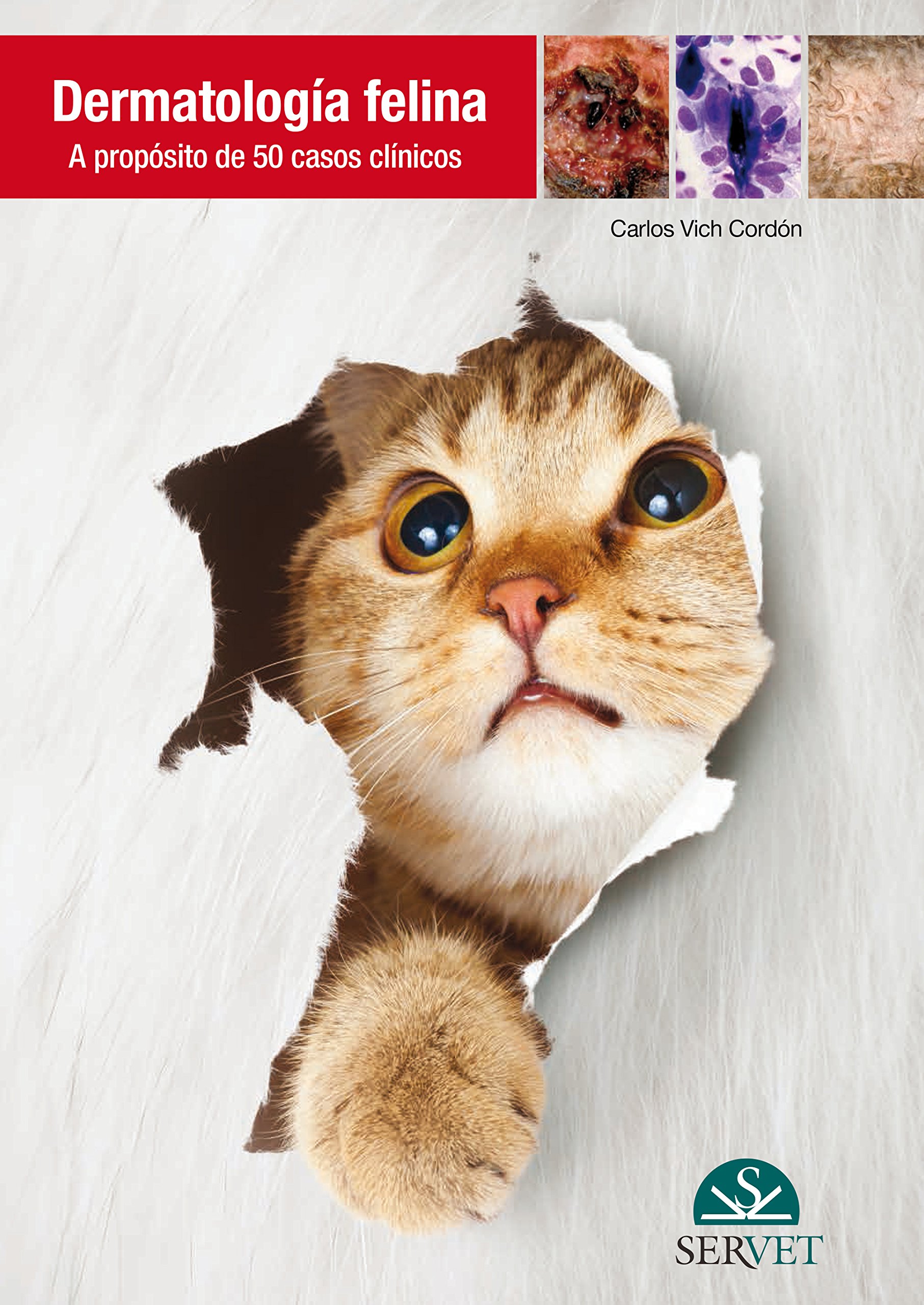 Dermatología felina. A propósito de 50 casos clínicos (Spanish Edition)