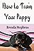 How to Train Your Puppy by Brenda Stephens