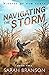 Navigating the Storm (Pirat...