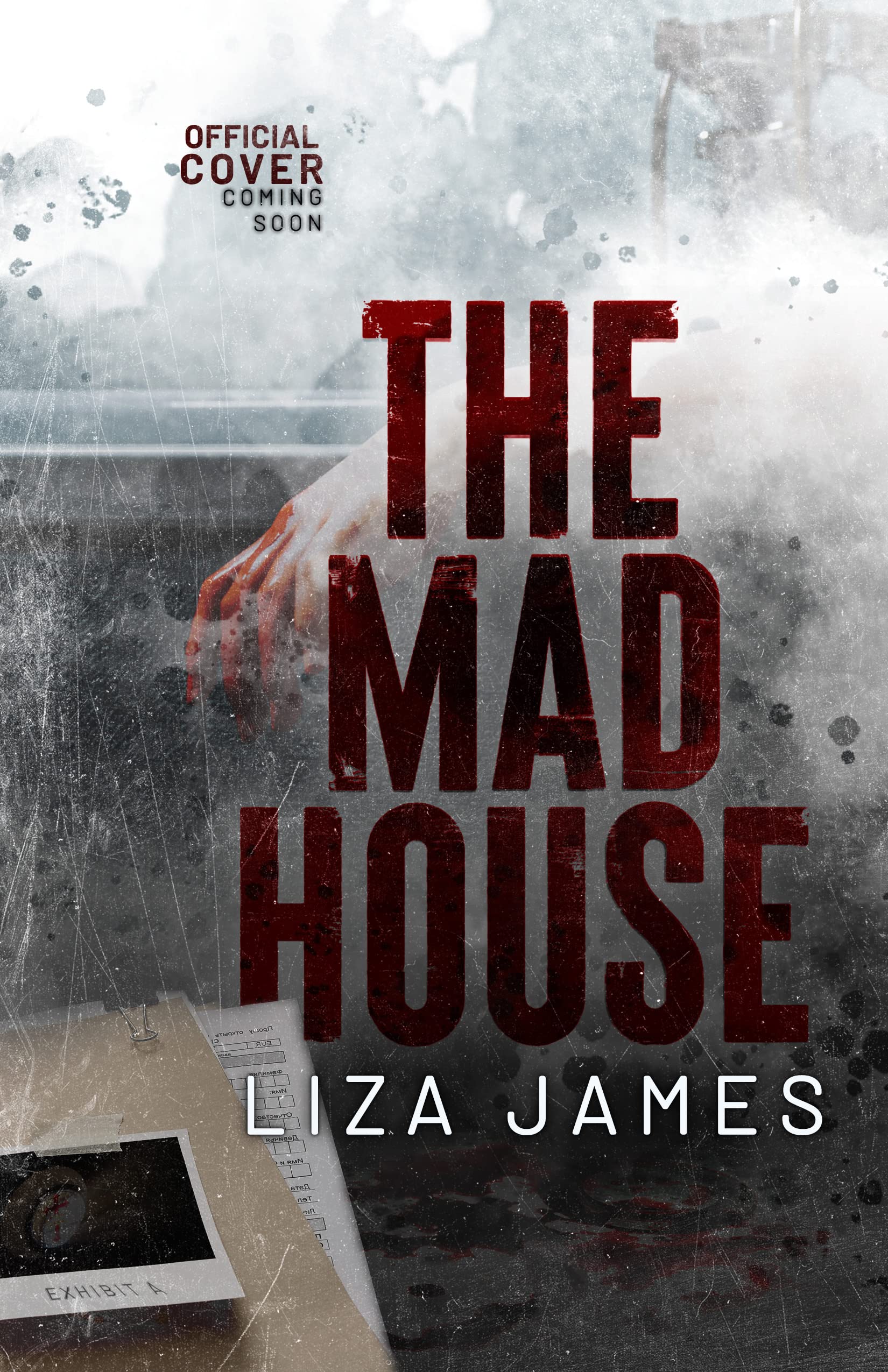 The Mad House (ebook)