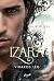 Viharos lég (Izara, #3)