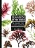 Seaweeds of the World: A Guide to Every Order (A Guide to Every Family)
