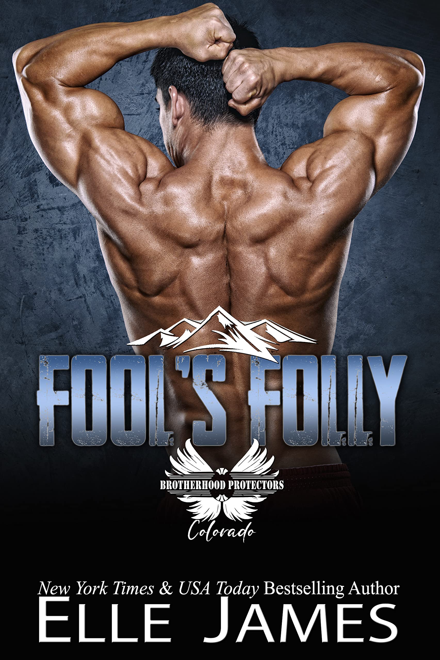 Fool's Folly (Brotherhood Protectors: Colorado #9)