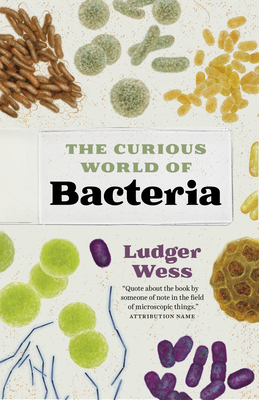 The Curious World of Bacteria (Kindle Edition)