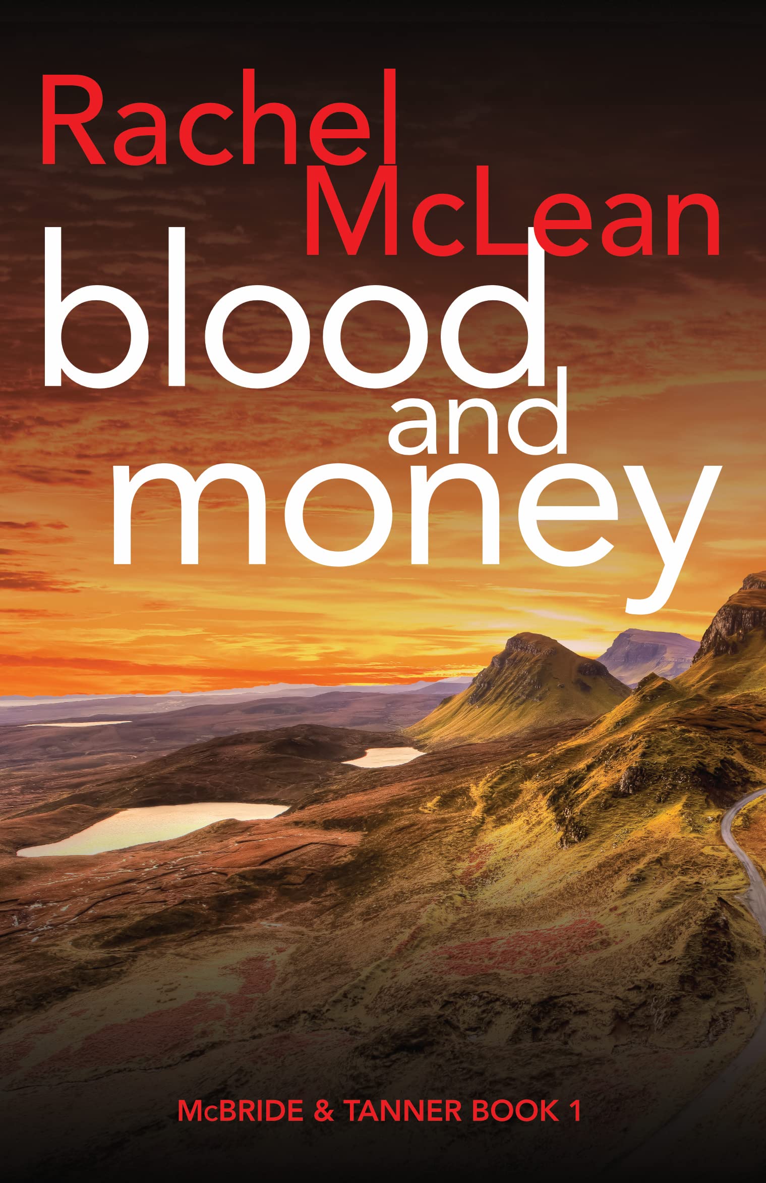 Blood and Money (McBride & Tanner #1)