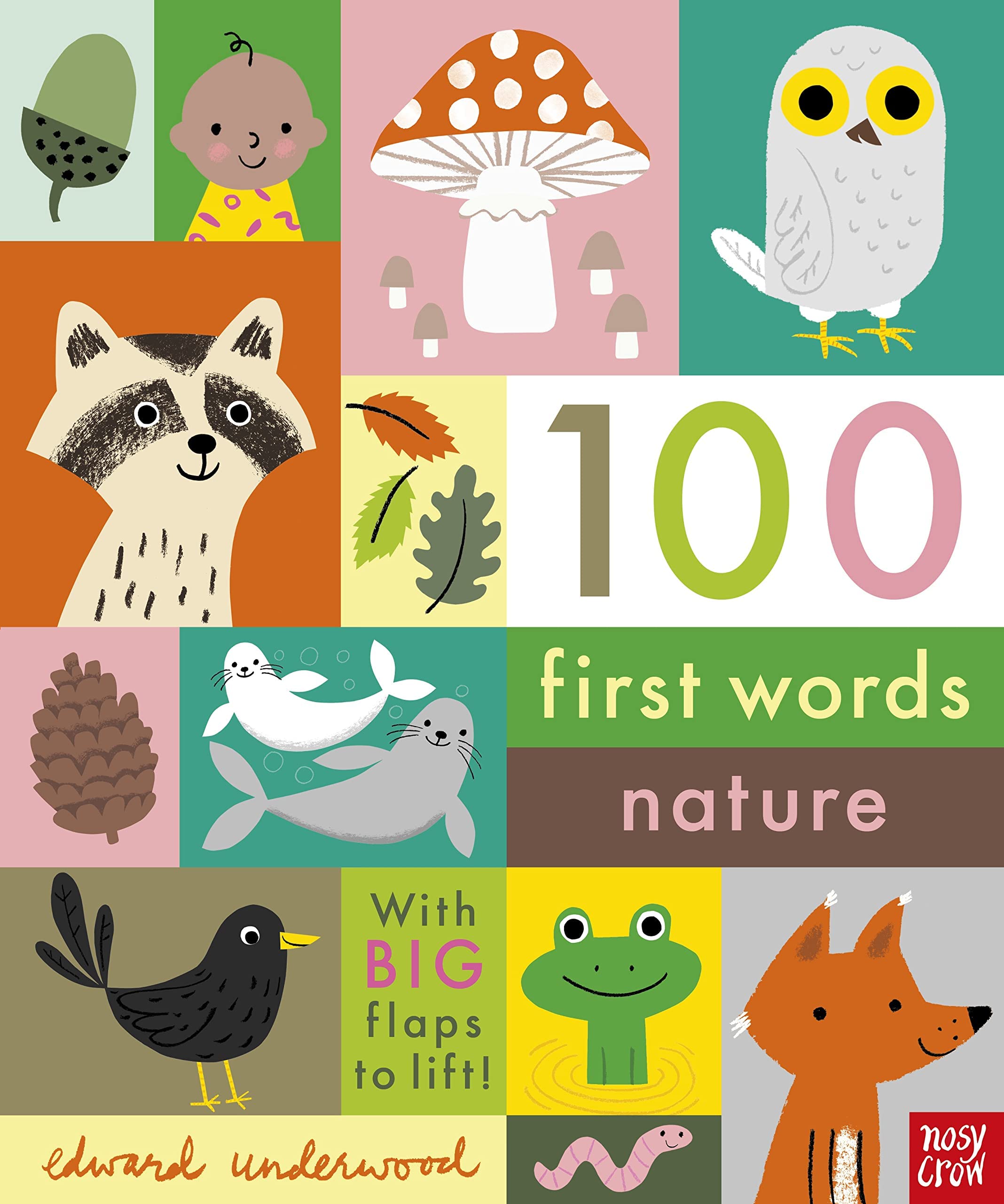 100 First Words: Nature (Board book)