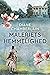 Maleriets hemmelighed by Diane Chamberlain