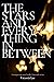 The Stars and Everything in Between: A Feverwake novella