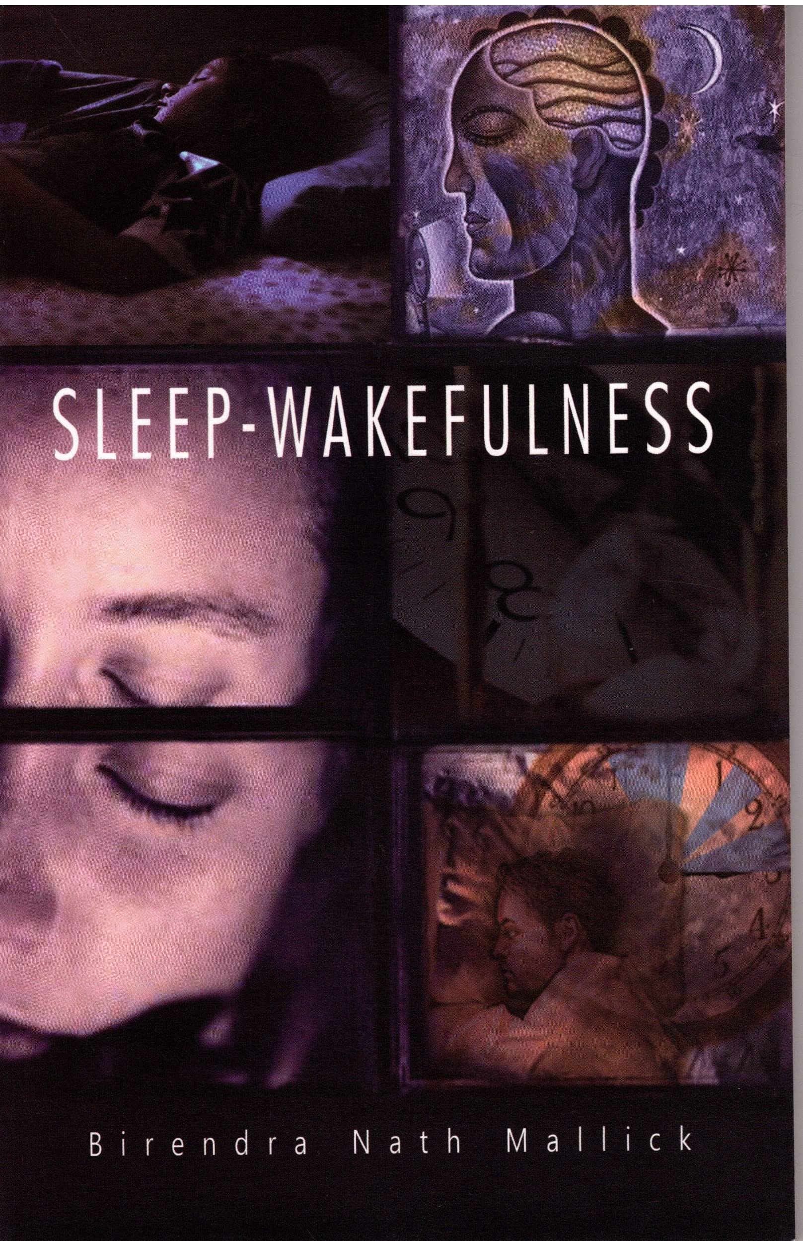 Sleep Wakefulness (Paperback)