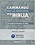 Caminando en la historia de la Biblia by Richard Houston