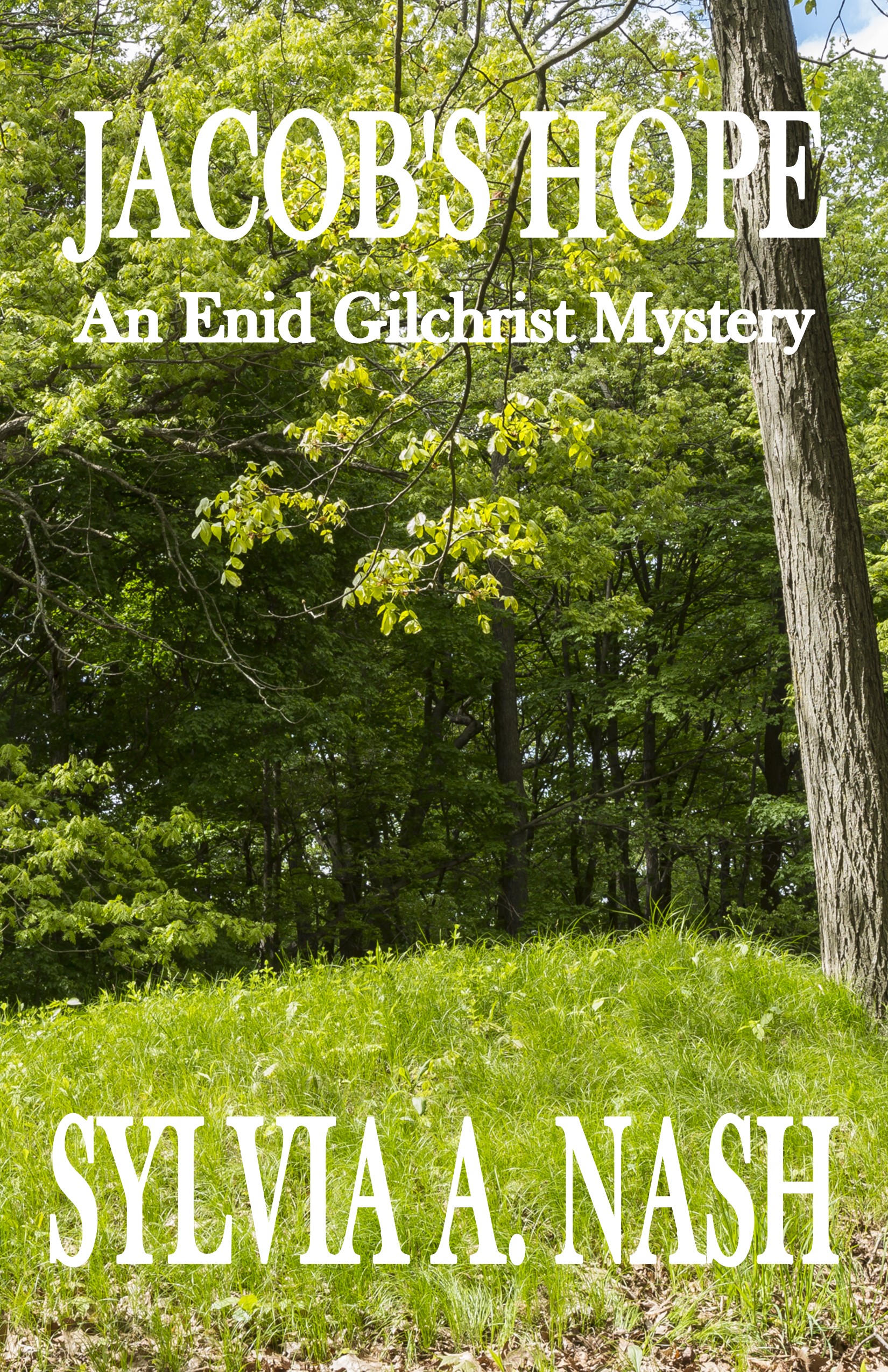 Jacob's Hope (Enid Gilchrist Mysteries #5)