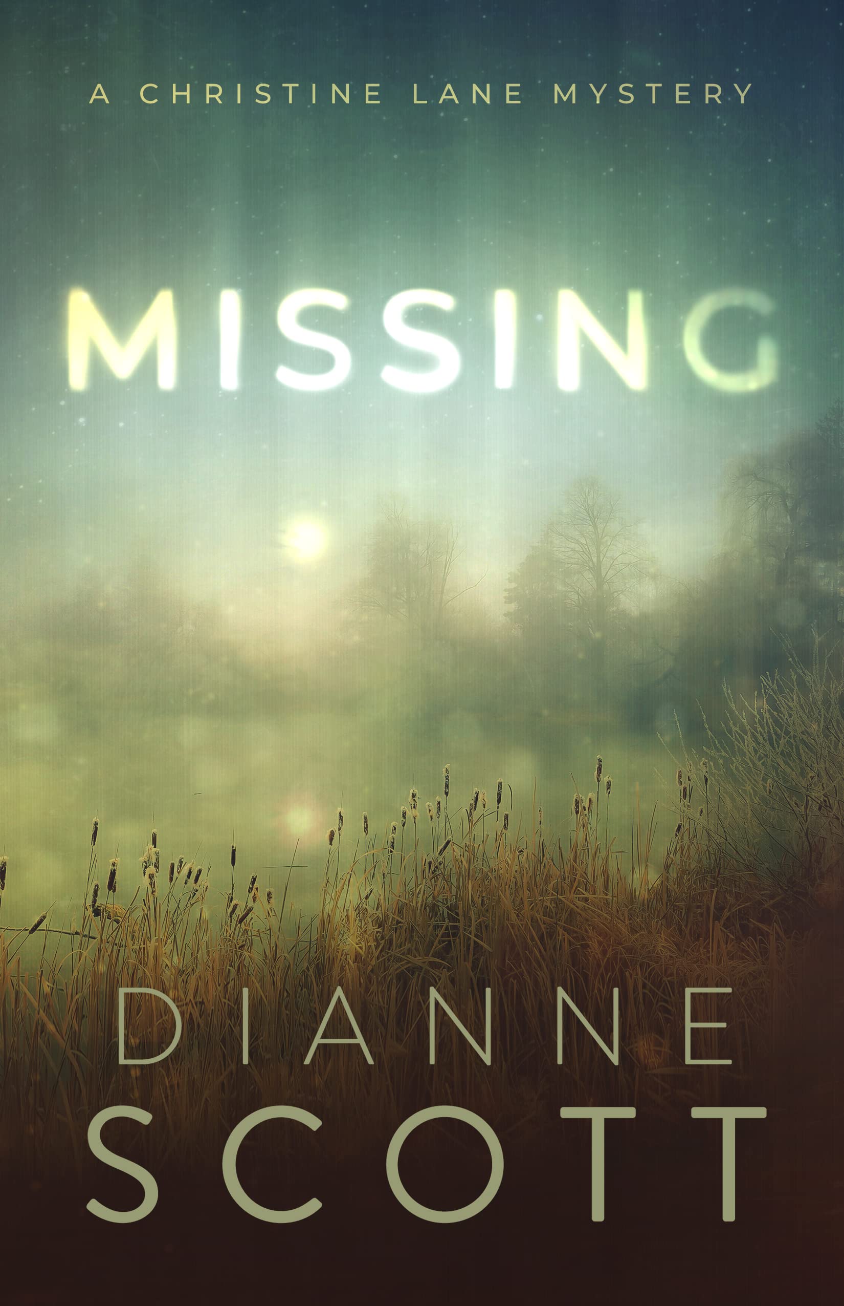 Missing (A Christine Lane Mystery #2)