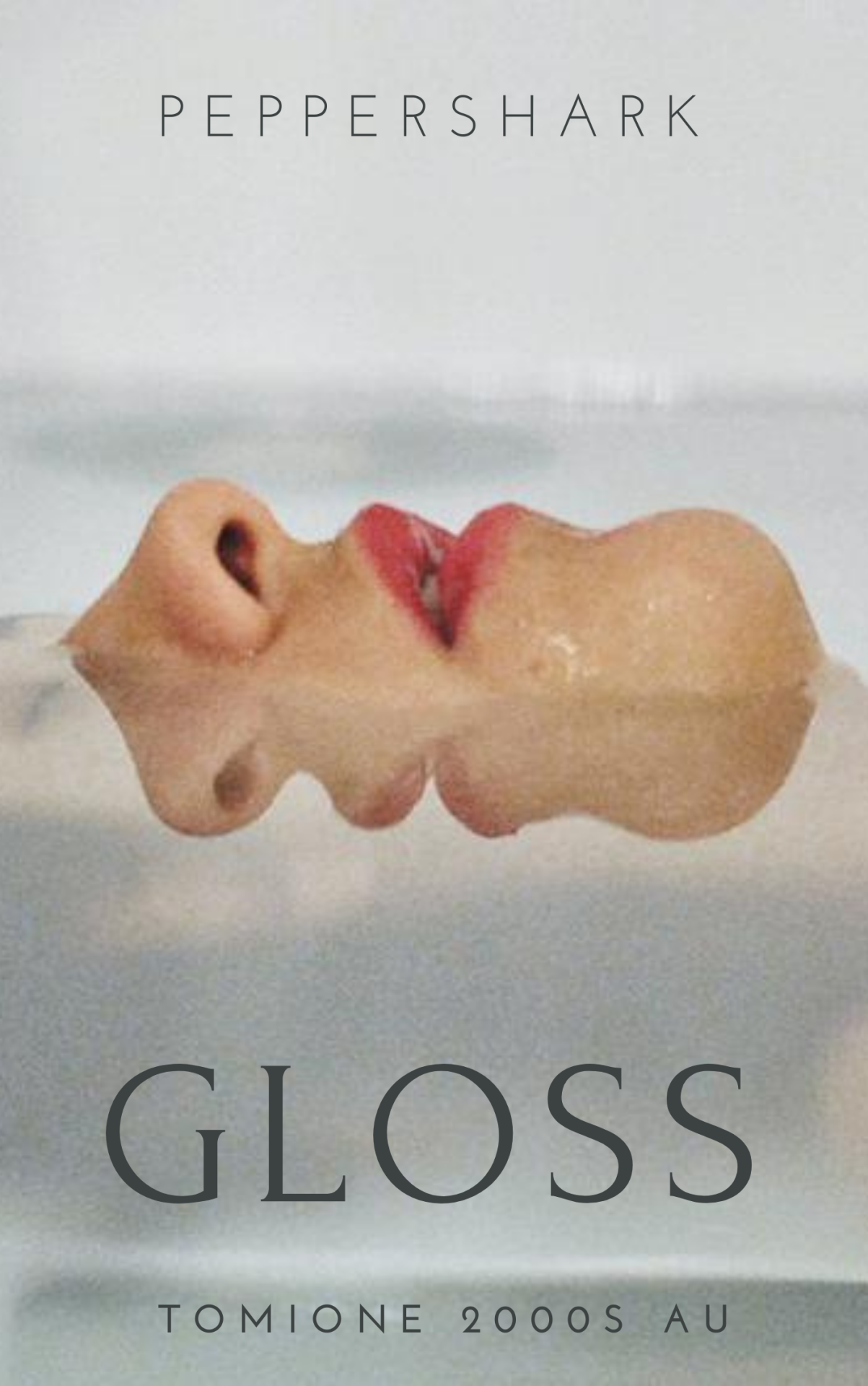 Gloss (ebook)