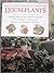Houseplants (Practical Gardening)