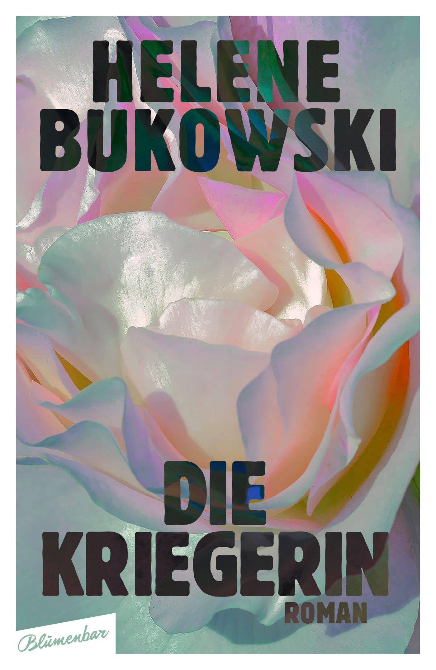 Die Kriegerin (Kindle Edition)