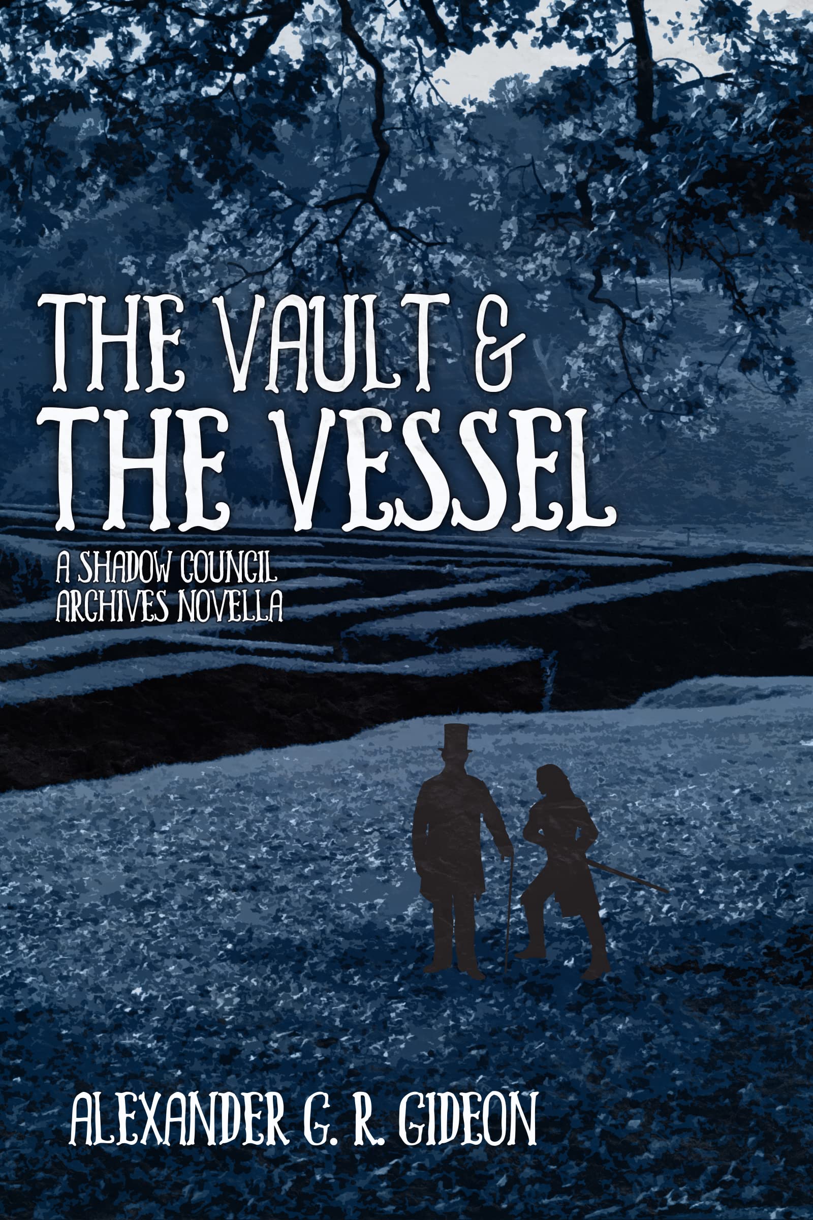 The Vault and the Vessel (Books of the Law, #2) (Shadow Council Archives)
