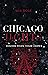 Chicago Lights Gay Romance:...