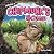 Inside a Chipmunk’s Home