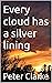 Every cloud has a silver lining (Playing with fire Book 6)