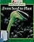 From Seed to Plant (Rookie Read-About Science)