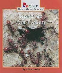Inside an Ant Colony (Rookie Read-about Science)