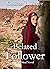 Belated Follower: A Christian Biblical Romance