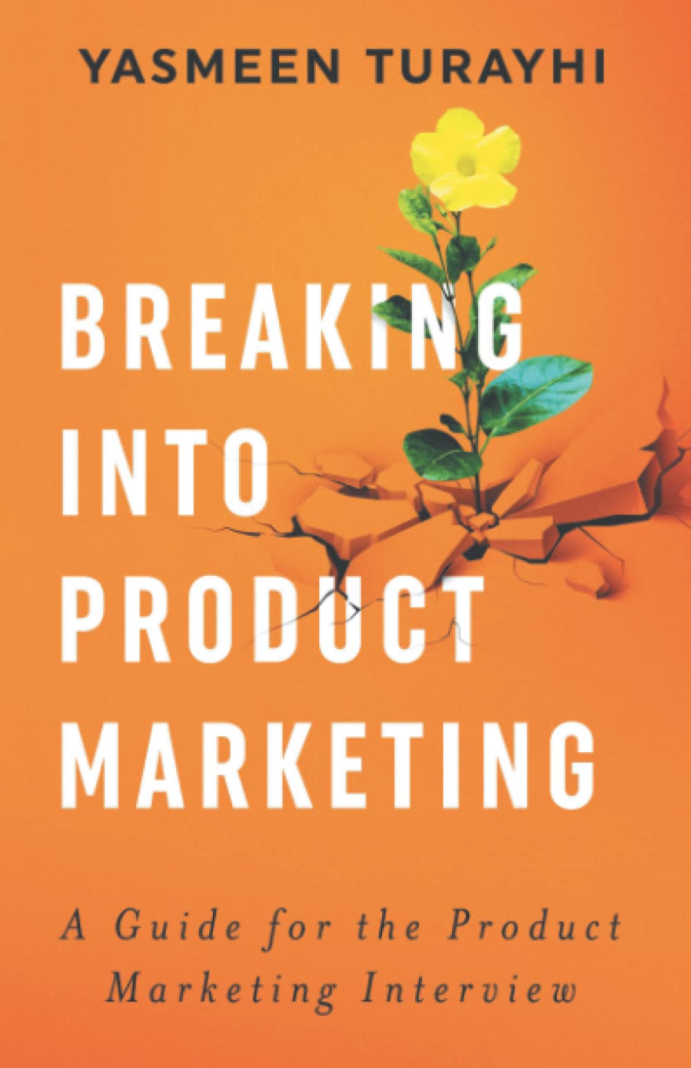 Breaking into Product Marketing: A Guide for the Product Marketing Interview (Paperback)