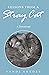 Lessons from a Stray Cat: A Devotional