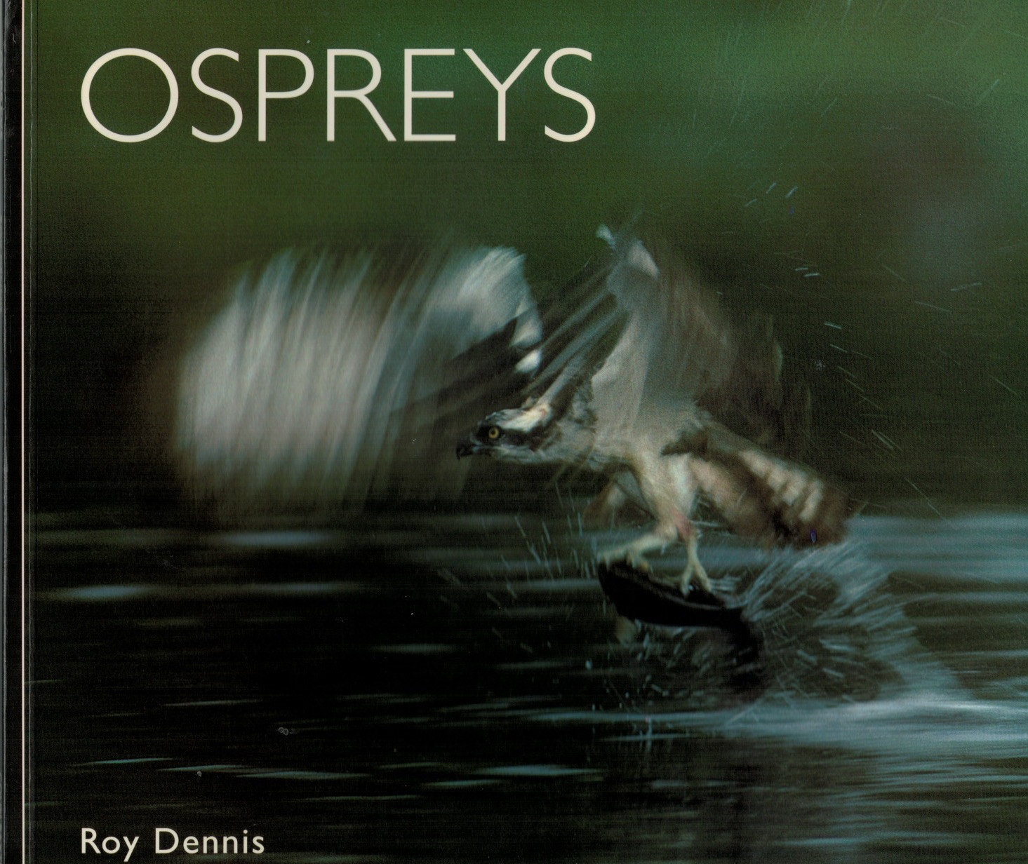 Ospreys (Worldlife Library Series)