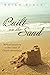 Built on the Sand: Biblical...