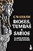 Dioses, tumbas y sabios: La gran aventura de la arqueología