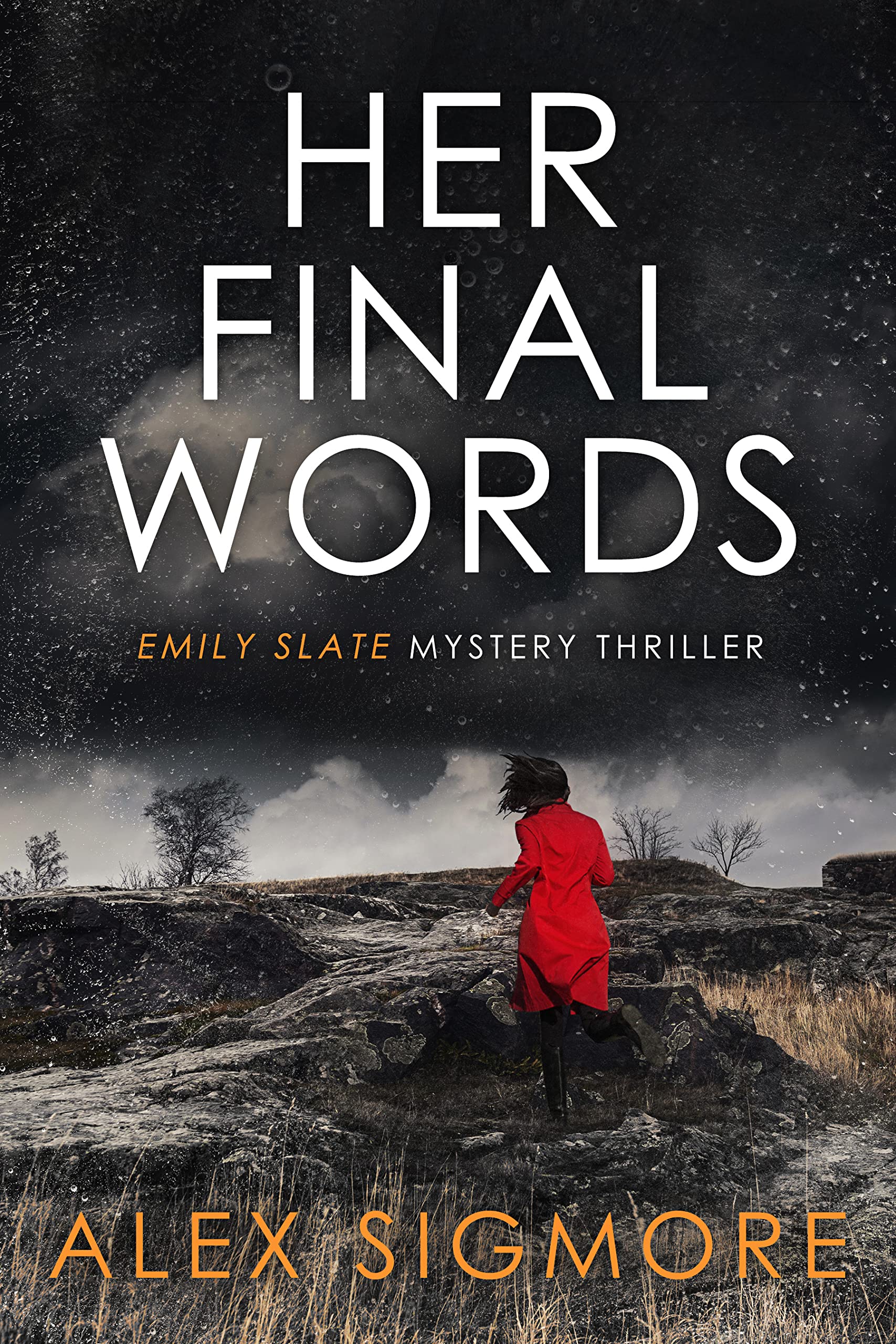 Her Final Words (Emily Slate #4)