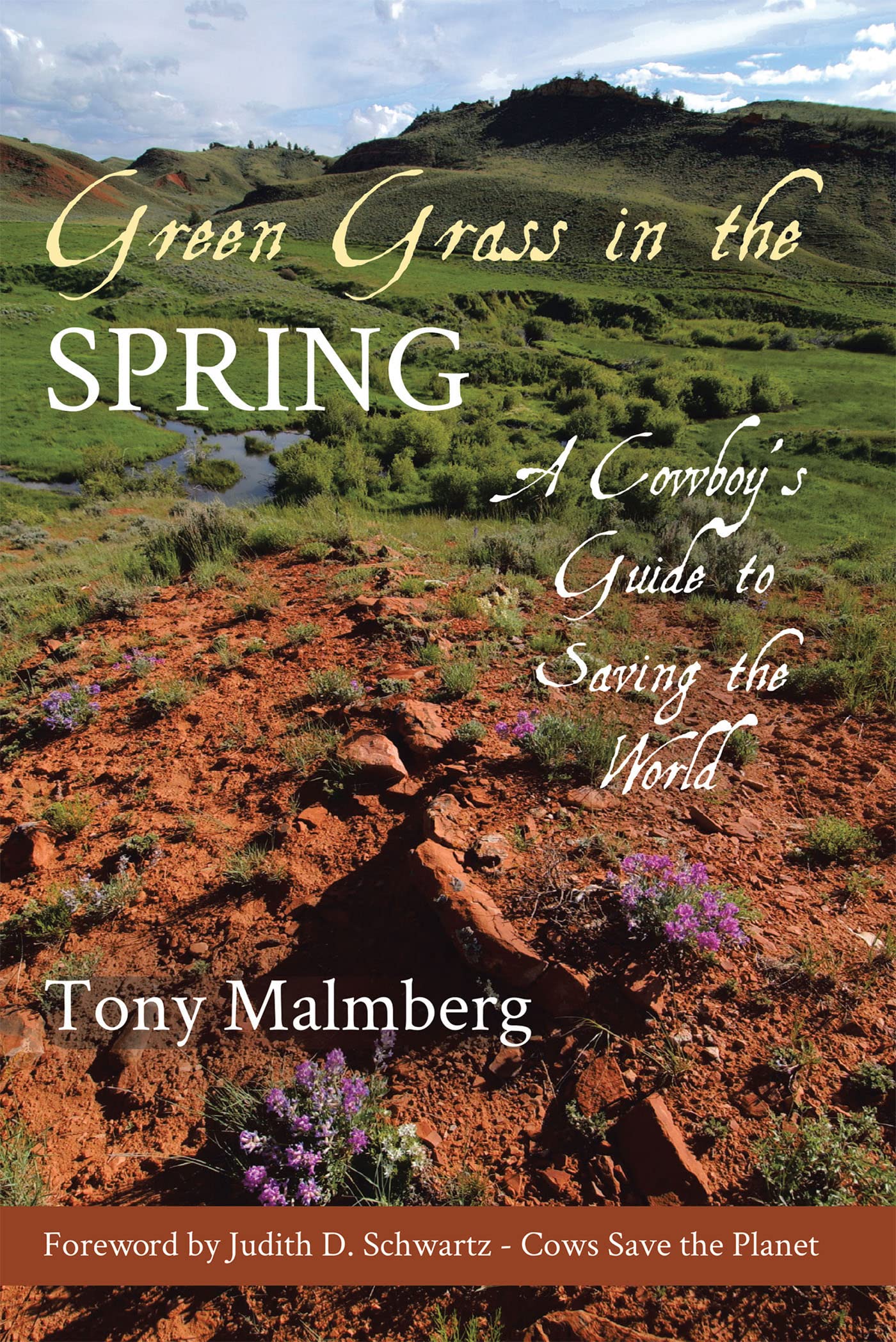 Green Grass in the Spring: A Cowboy's Guide to Saving the World (Kindle Edition)