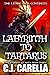 Labyrinth to Tartarus: A LitRPG Saga (The Eternal Journey)