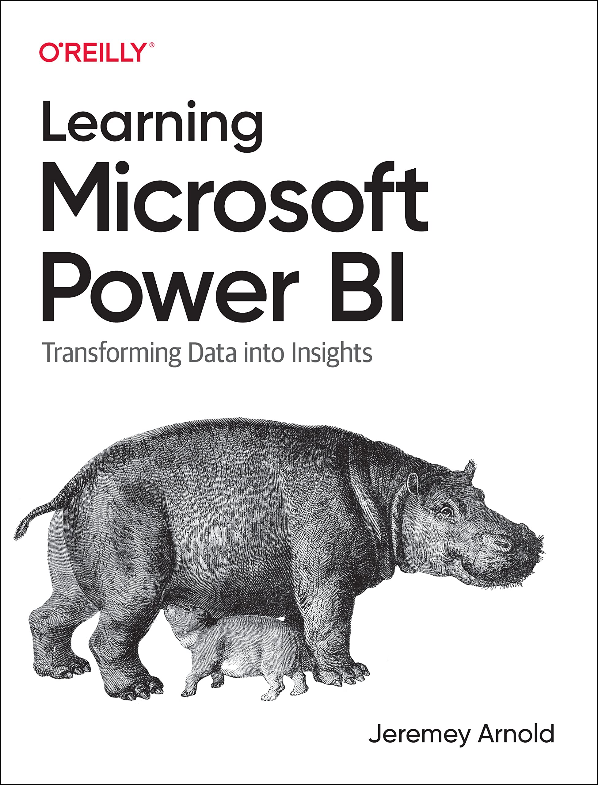 Learning Microsoft Power BI: Transforming Data into Insights (Paperback)