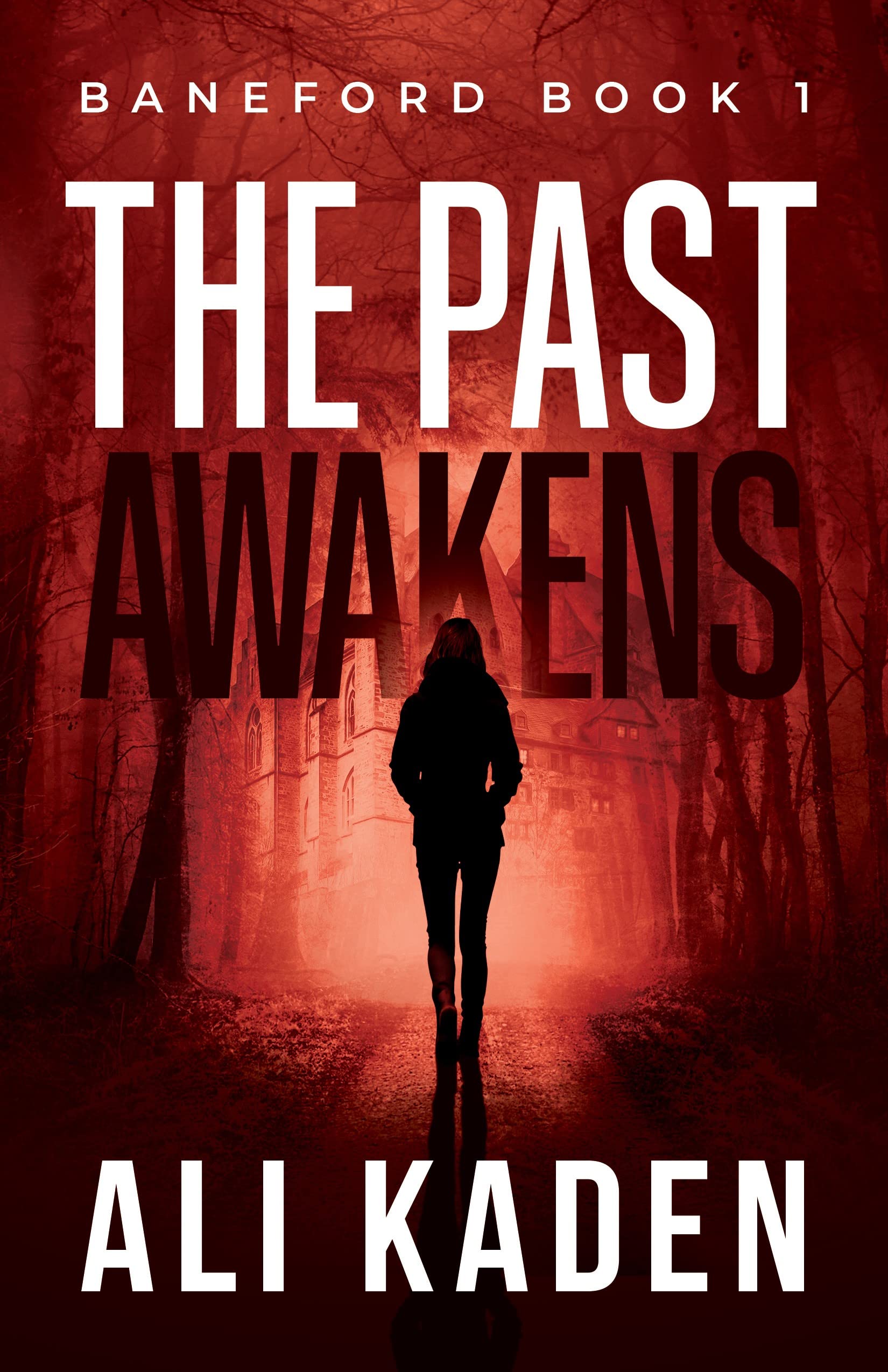 The Past Awakens (Baneford #1)