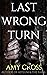 Last Wrong Turn (The Blood and Gore Collection)