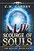 Scourge of Souls - The Realms Book Four: (An Epic LitRPG Progression Fantasy Novel)