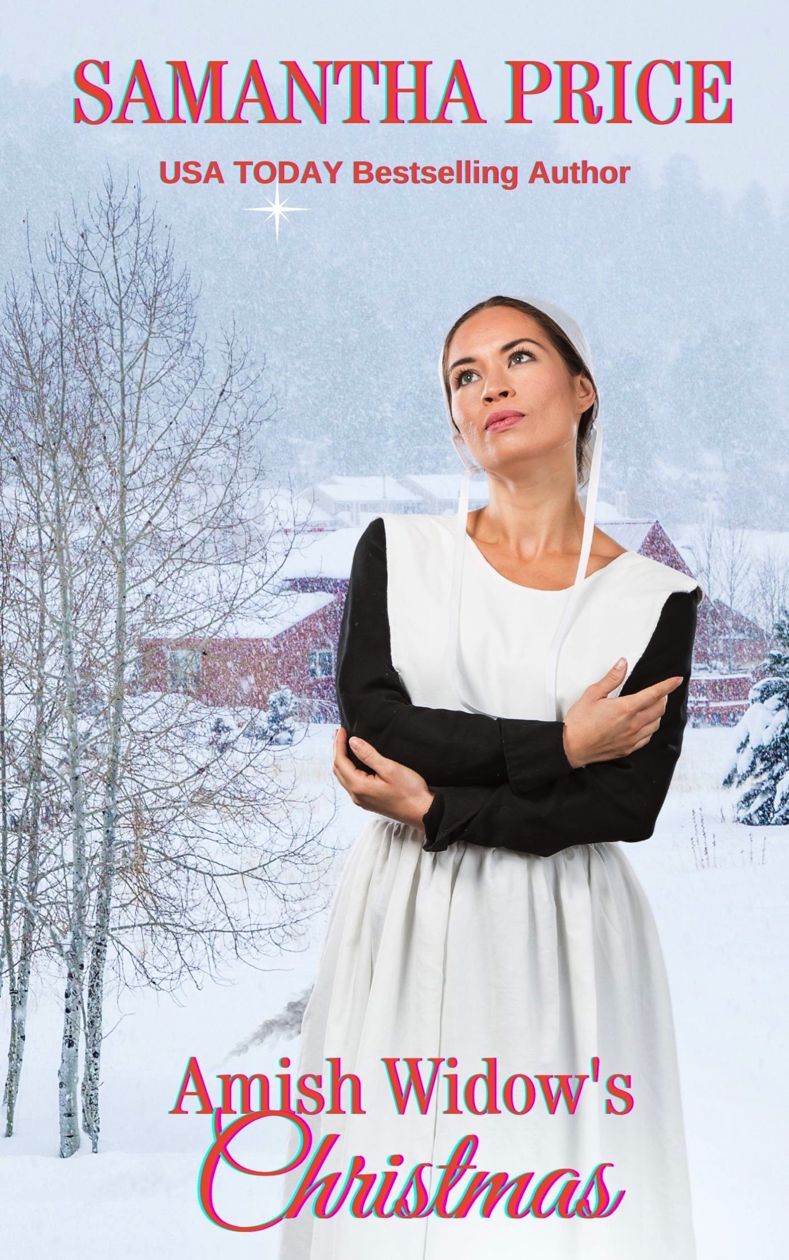 Amish Widow's Christmas (Expectant Amish Widows #12)