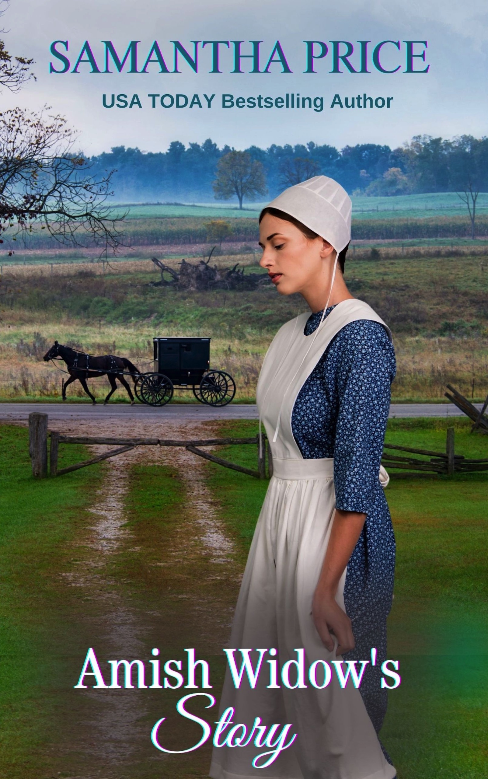 Amish Widow's Story (Expectant Amish Widows #14)