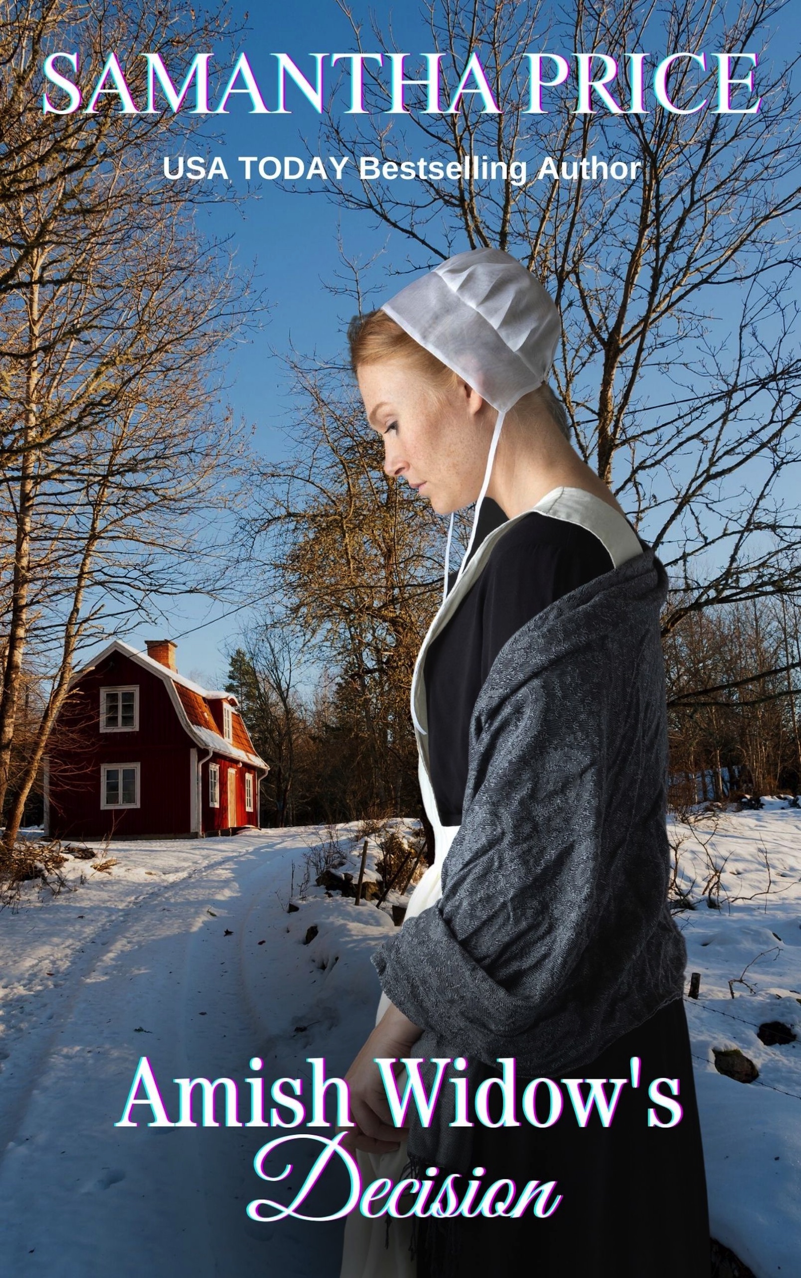 Amish Widow's Decision (Expectant Amish Widows #15)