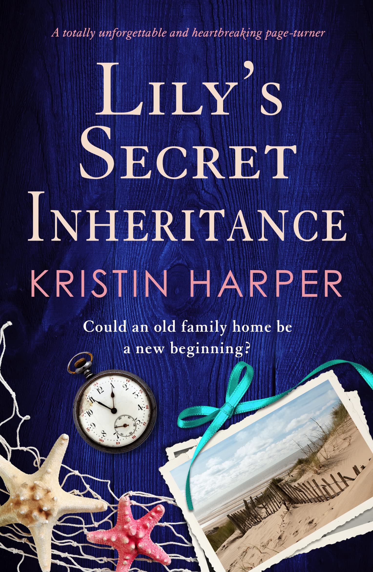 Lily's Secret Inheritance (Dune Island, #4)
