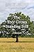 The Tree Grows Standing Still