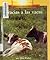 Gracias a Las Vacas (Mis Primeros Libros de Ciencia)
