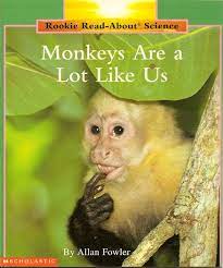 Monkeys Are a Lot Like Us (Paperback)
