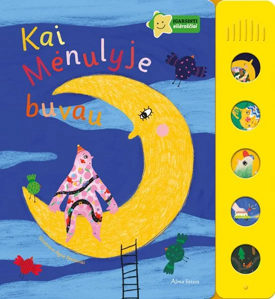 Kai mėnulyje buvau (Hardcover)