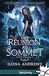 Une réunion au sommet by Ilona Andrews