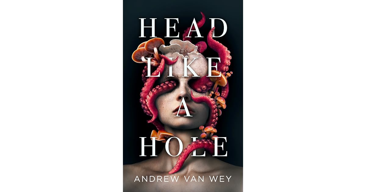 Goodfellow’s review of Head Like a Hole