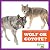 Wolf or Coyote? (Bullfrog Books: Spot the Differences)